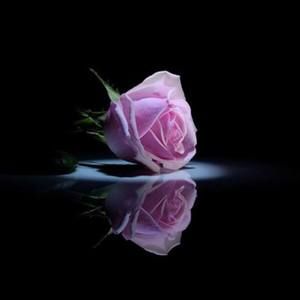 Meet your Posher, Malak